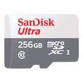 Scheda di memoria SanDisk Ultra microSDXC SDSQUNR-256G-GN3MN - 256 GB