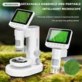 Microscopio portatile/da tavolo 2 in 1 per bambini con set di vetrini - 1000x