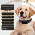 Collare localizzatore GPS 4G per cani - Impermeabile IP68 - Nero