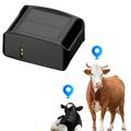 Localizzatore GPS in tempo reale 4G per bestiame con ricarica solare