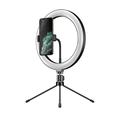 APEXEL APL-FL10JJ13Y 26cm LED Ring Light Fotografia Selfie Fill Light con treppiede Supporto telefono