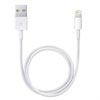 Cavo Lightning / USB Apple ME291ZM/A - Bianco - 0.5m