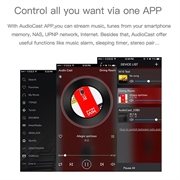 Adattatore WiFi AudioCast M5 per altoparlanti - AirPlay, DLNA, Spotify - Nero