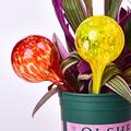 Globi auto-irriganti automatici per piante - 100ml - 6 pezzi.