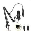 Microfono BM-700 con braccio regolabile e filtro anti-pop per podcast e streaming