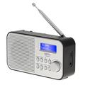 Camry CR 1179 Radio DAB/DAB+/FM con batteria da 2000mAh - Argento/Nero