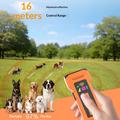 D900 - Repellente ad ultrasuoni per cani 6 in 1 e dispositivo di addestramento antiabbaio - Nero