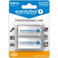 EverActive Professional Line EVHRL14-5000 Batterie ricaricabili C 5000mAh - 2 pezzi.