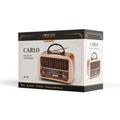 Forever CARLO JB-105 BT Electro FM Radio - Batteria da 1200mAh, telecomando