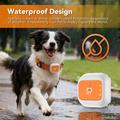 G01 Localizzatore GPS intelligente impermeabile per animali domestici 4G/WiFi - L