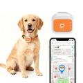 G01 Localizzatore GPS intelligente impermeabile per animali domestici 4G/WiFi - L