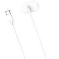 Cavo di ricarica magnetico USB-C Google Fitbit Air - 1m - Bianco