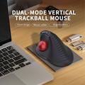 Mouse wireless con trackball ergonomico Jomaa JOM255 - Nero