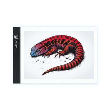 Maxlife MXGT-01 LED Lightpad Board per il disegno e lo schizzo