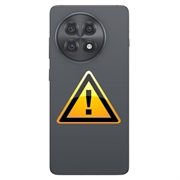 Riparazione del Coperchio della Batteria del OnePlus 13R