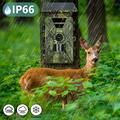 PR903W Telecamera solare impermeabile con visione notturna a infrarossi - 8K, 60MP - Verde