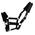 Cavezza imbottita per cavalli da 25mm - Taglia XL - Nero