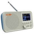 Portable Bluetooth DAB Radio with LCD Display