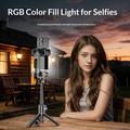 Q34 AI stabilizzatore gimbal per selfie stick con funzione anti-vibrazioni e luce di bellezza RGB - Nero