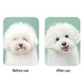 RK51 Asciugacapelli 2 in 1 per animali domestici con spazzola a setole - Bianco