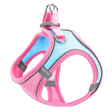 Pettorina riflettente per cani e gatti con guinzaglio - L - Blu / Rosa