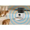 Rojeco 3L Smart Wi-Fi Pet Feeder con telecamera - Monitoraggio 720p, audio bidirezionale