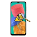 Diagnosi del Samsung Galaxy M33