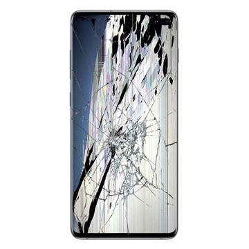 Riparazione del Display LCD e del Touch Screen del Samsung Galaxy S10+ - Bianco