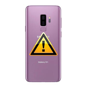 Riparazione del Copribatteria per Samsung Galaxy S9+ - Viola