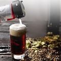 Star Compass Beer-F2 Schiumatore portatile a ultrasuoni per birra in lattina - Nero