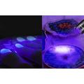 Torcia Superfire A5 UV con batteria ricaricabile - 365NM