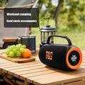 Altoparlante Bluetooth portatile T&G TG484 da 30W con luci RGB - Nero