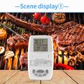 Termometro digitale per carne TS-84 con sonda impermeabile