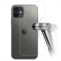 Pellicola per Lato Posteriore in Vetro Temperato 5D per iPhone X / iPhone XS - Nero