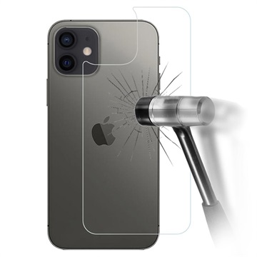 Pellicola per Lato Posteriore in Vetro Temperato 5D per iPhone X / iPhone XS - Nero