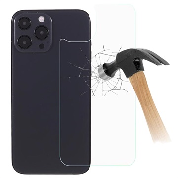 Pellicola per Lato Posteriore in Vetro Temperato 5D per iPhone X / iPhone XS - Nero