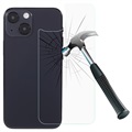 Pellicola per Lato Posteriore in Vetro Temperato 5D per iPhone X / iPhone XS - Nero