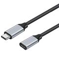Cavo di prolunga USB-C 60W - 4K - 25cm