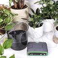 Kit di irrigazione a goccia con doppia pompa intelligente WiFi WD-01BDE