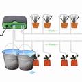 Kit di irrigazione a goccia con doppia pompa intelligente WiFi WD-01BDE