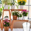 Sistema di irrigazione automatico per piante con doppia pompa e connessione Wi-Fi WD-01GDE - Bianco
