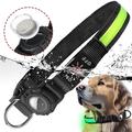 Collare impermeabile a LED per cani con supporto Apple AirTag 1/2 - Grande 38-60cm - Verde