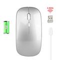 Mouse senza fili - 2.4Ghz - Funzione a 3 velocità Max 1600 DPI - Color Argento
