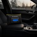 Wozinsky WSP-300 Assorbitore di umidità e odori per auto - 300g - Nero
