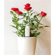 Sensore per piante Xiaomi Mi Flower Care - Bianco