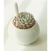 Sensore per piante Xiaomi Mi Flower Care - Bianco
