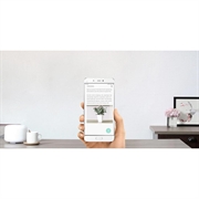 Sensore per piante Xiaomi Mi Flower Care - Bianco
