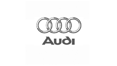 Staffe di montaggio Audi