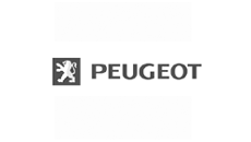 Staffe di montaggio Peugeot