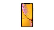 Vetro temperato iPhone XR e pellicola